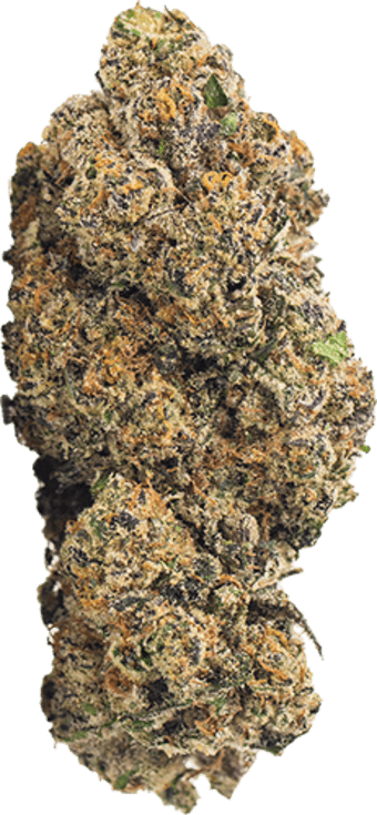 Berry Bliss image 1