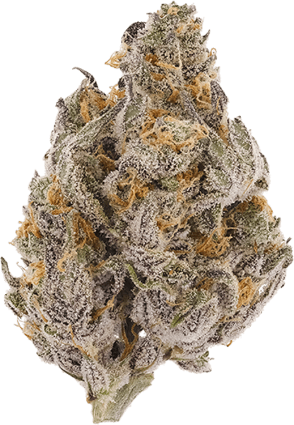Wedding Kush