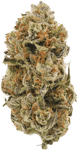 Green Kush